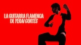 La guitarra flamenca de Yerai Cortés
