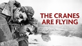 The Cranes Are Flying