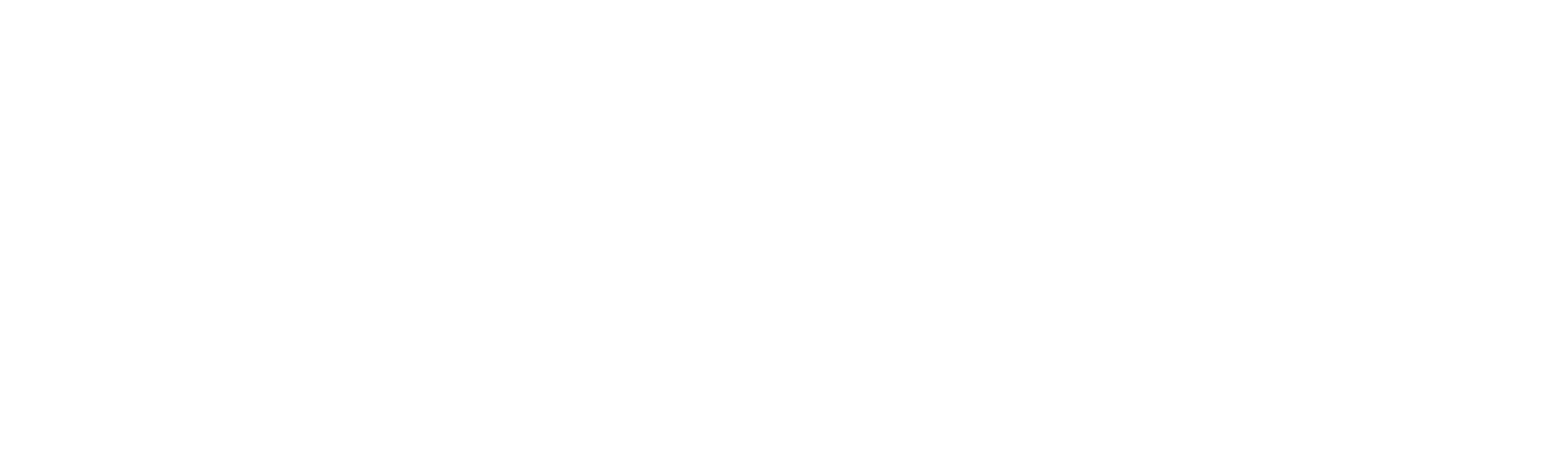 Carreras prohibidas: noches de competencia