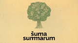 Šuma Summarum