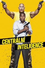 Centrální inteligence