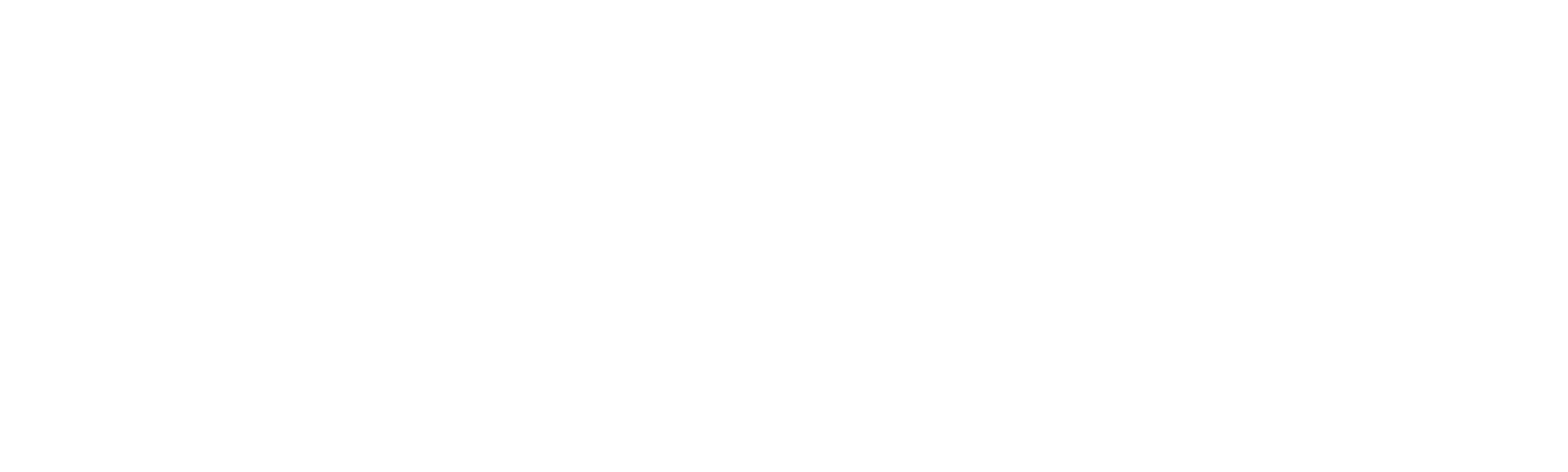 Ursos Sem Curso - O Filme