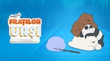 Aventurile fraților urși: Filmul