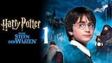 Harry Potter en de Steen der Wijzen
