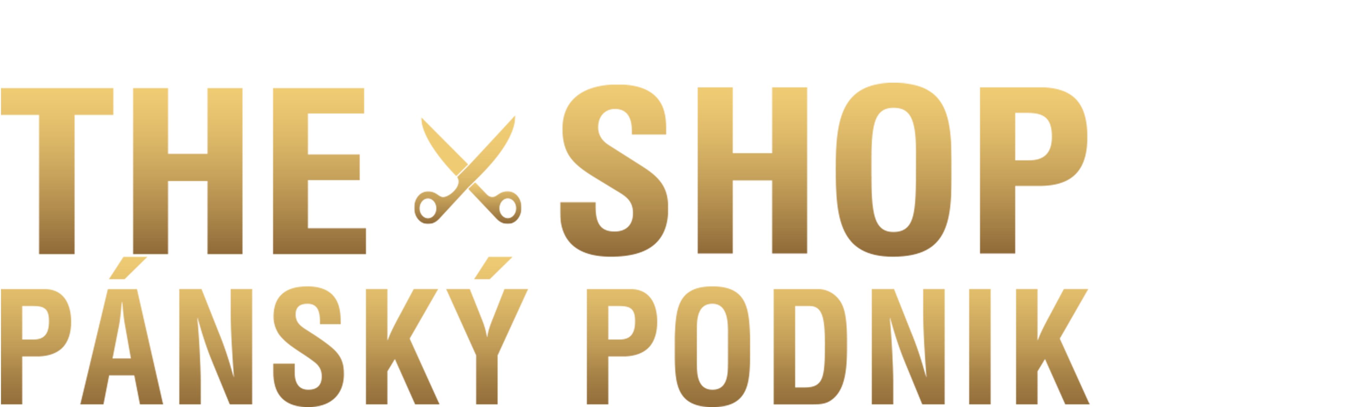 The Shop: Pánský podnik