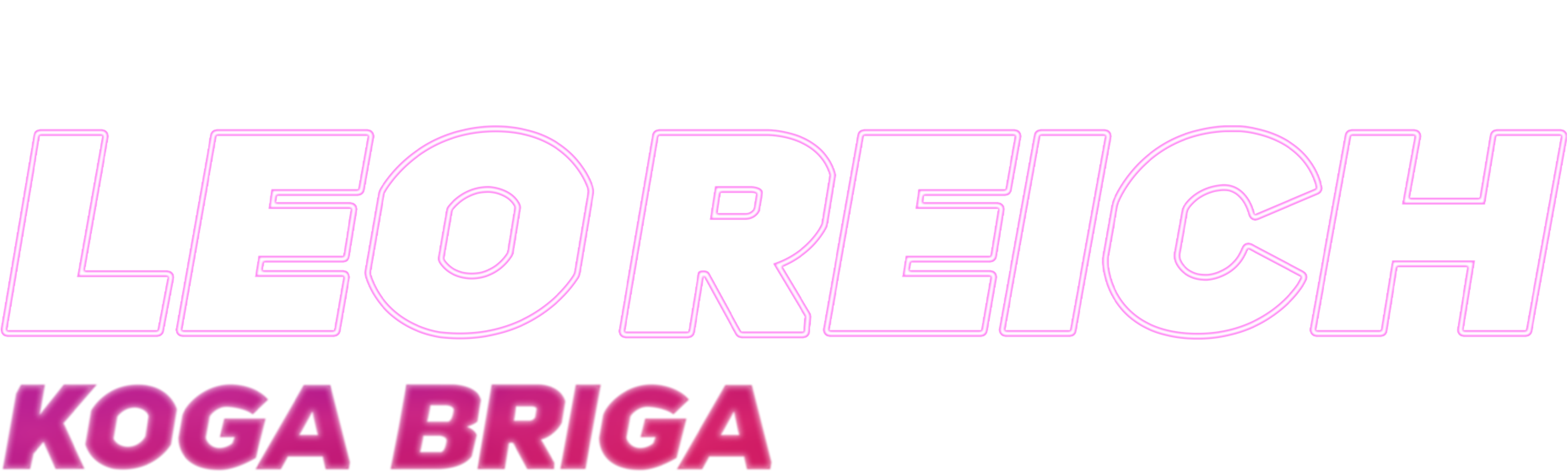 Leo Reich: Koga briga