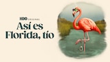 Así es Florida, tío
