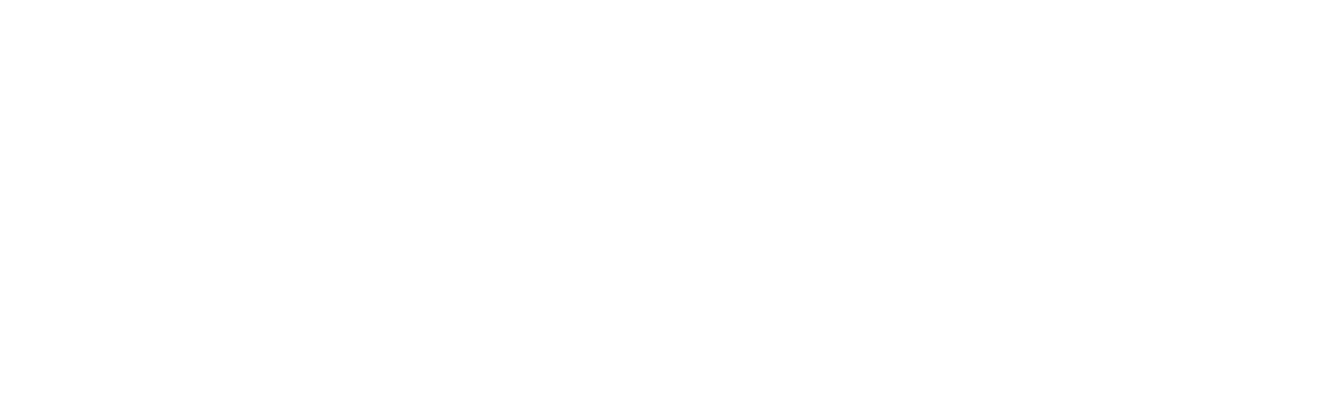 The Girl on the Train