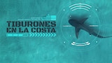Tiburones en la costa