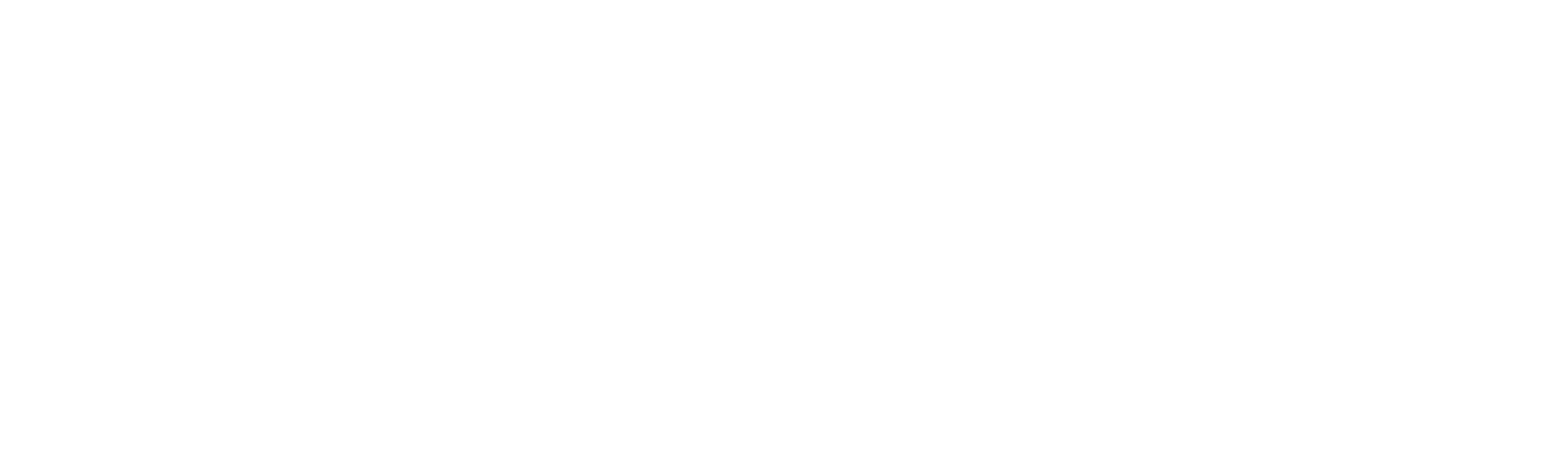 Flórida: A Costa dos Tubarões