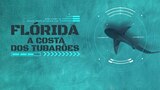 Flórida: A Costa dos Tubarões