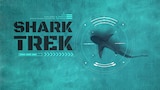 Shark Trek