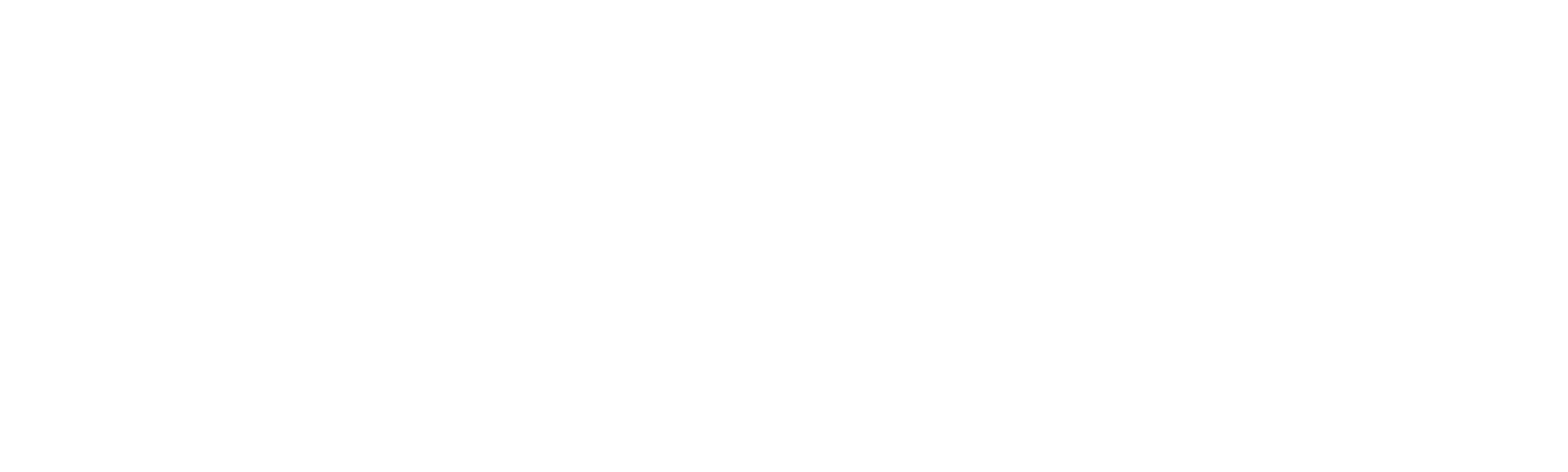Ernie & Joe: Crisis Cops