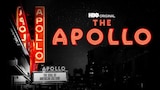 The Apollo