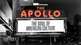 The Apollo