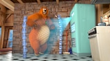 Bear Diet