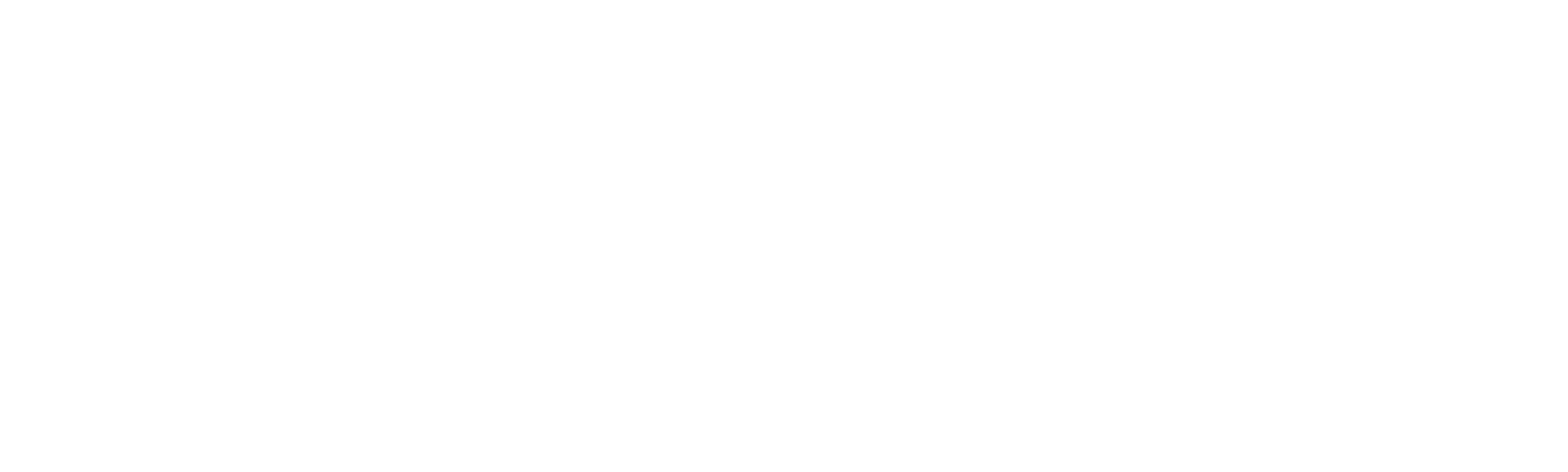 Una Noche para Sobrevivir