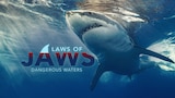 Laws Of Jaws: Dangerous Waters