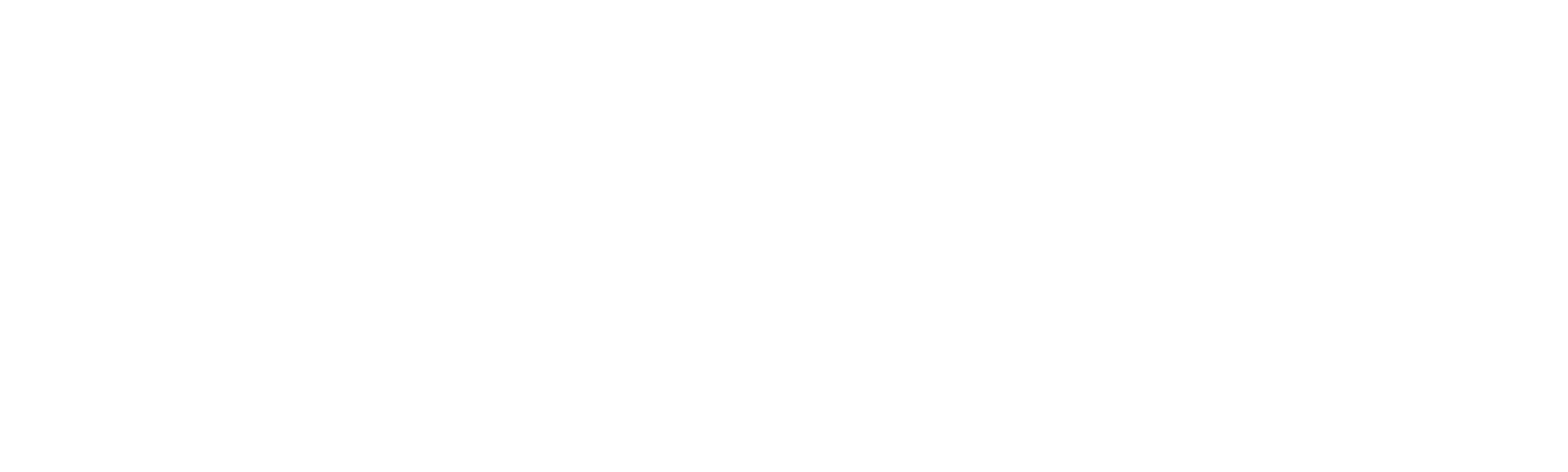 Cameraperson