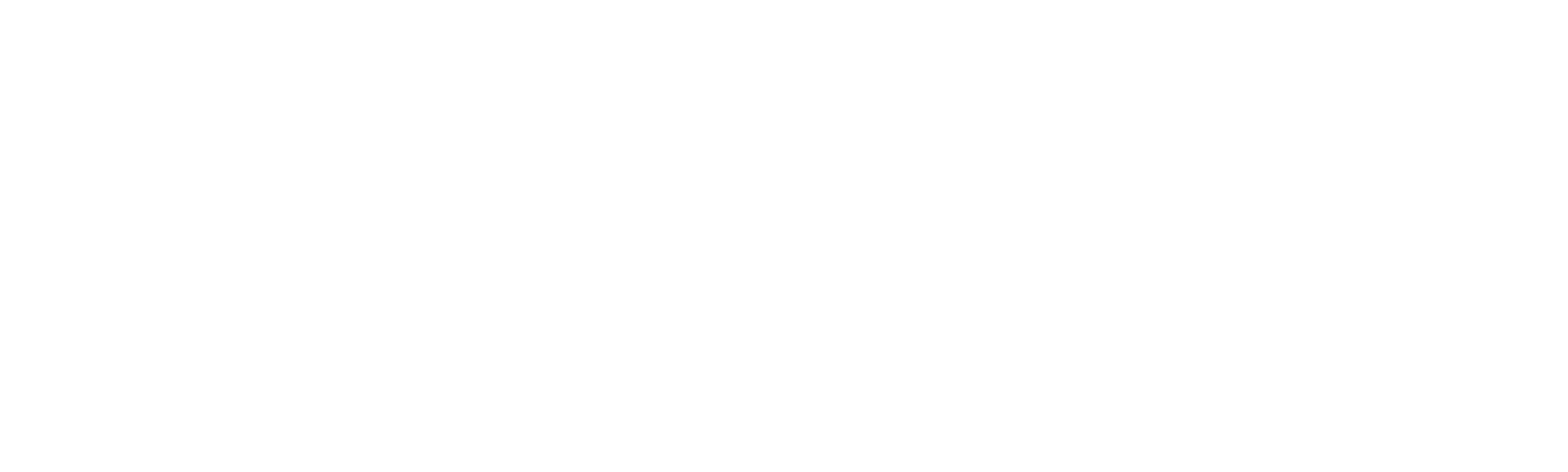 Coco Avant Chanel