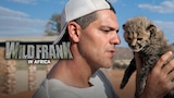 Wild Frank In Africa