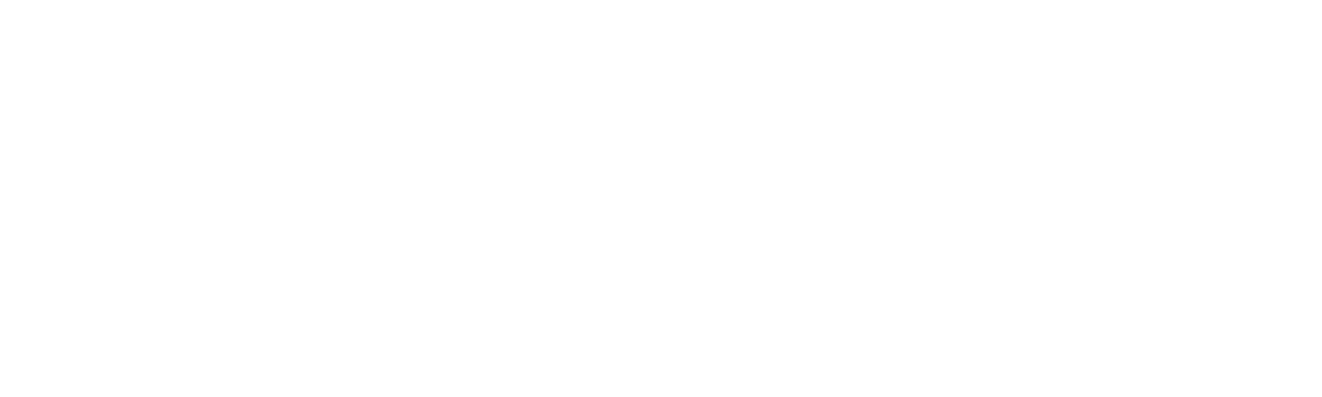 Pequenos Grandes Lutadores