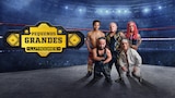 Pequenos Grandes Lutadores