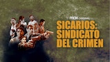 Sicarios: Sindicato del Crimen