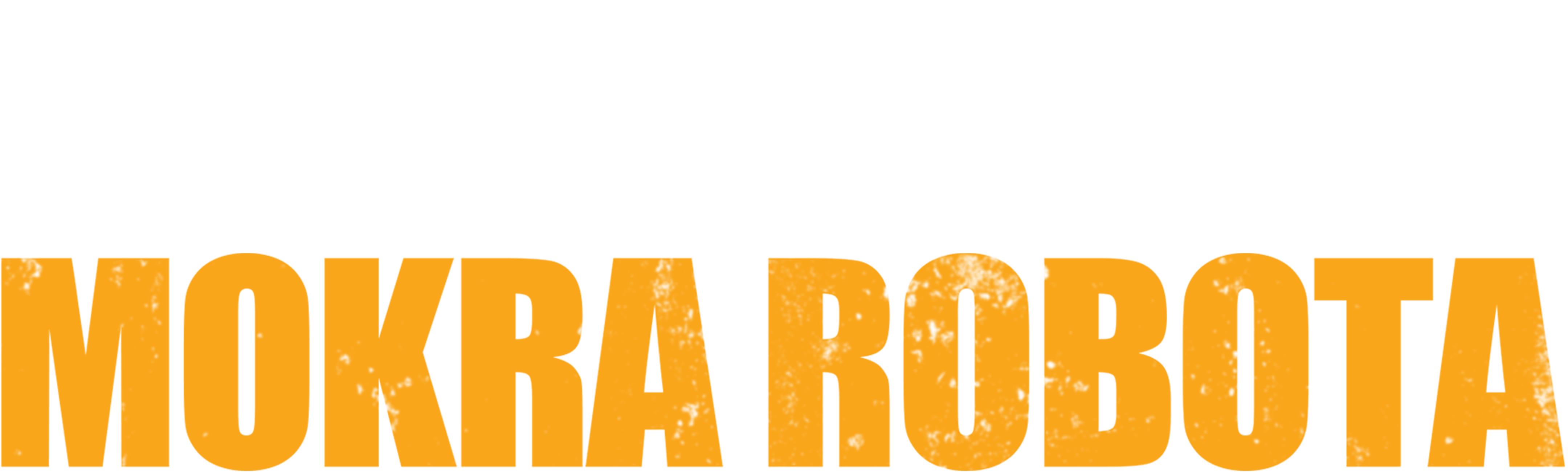 Mokra robota