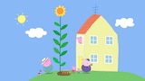 Peppa and George's Garden