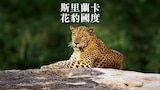 斯里蘭卡：雅拉的花豹