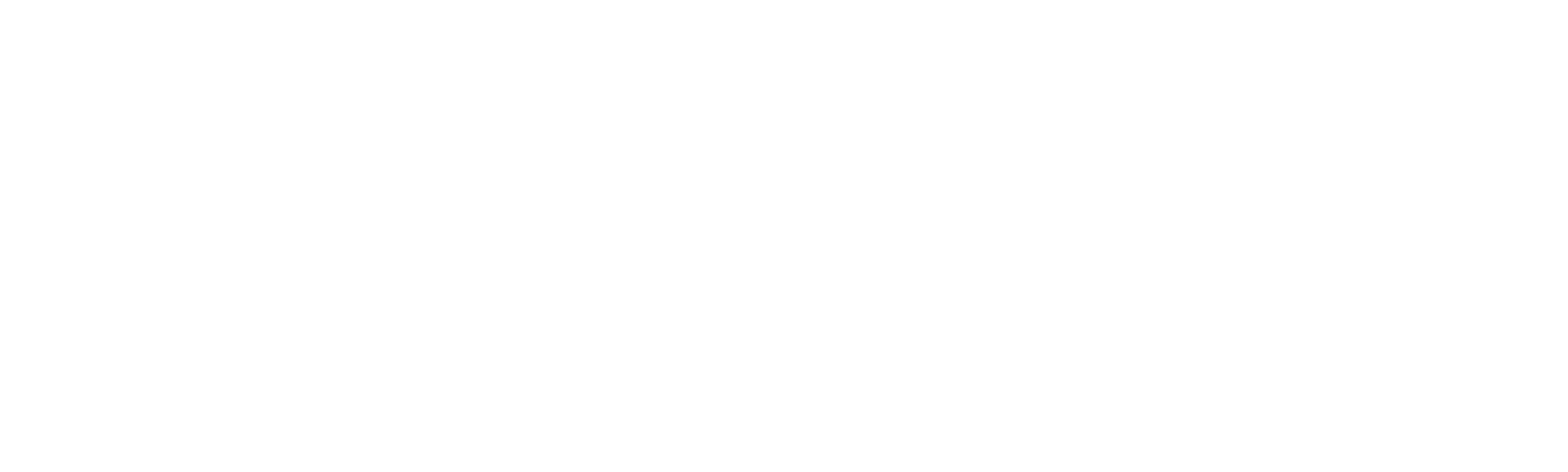 斯里蘭卡：雅拉的花豹