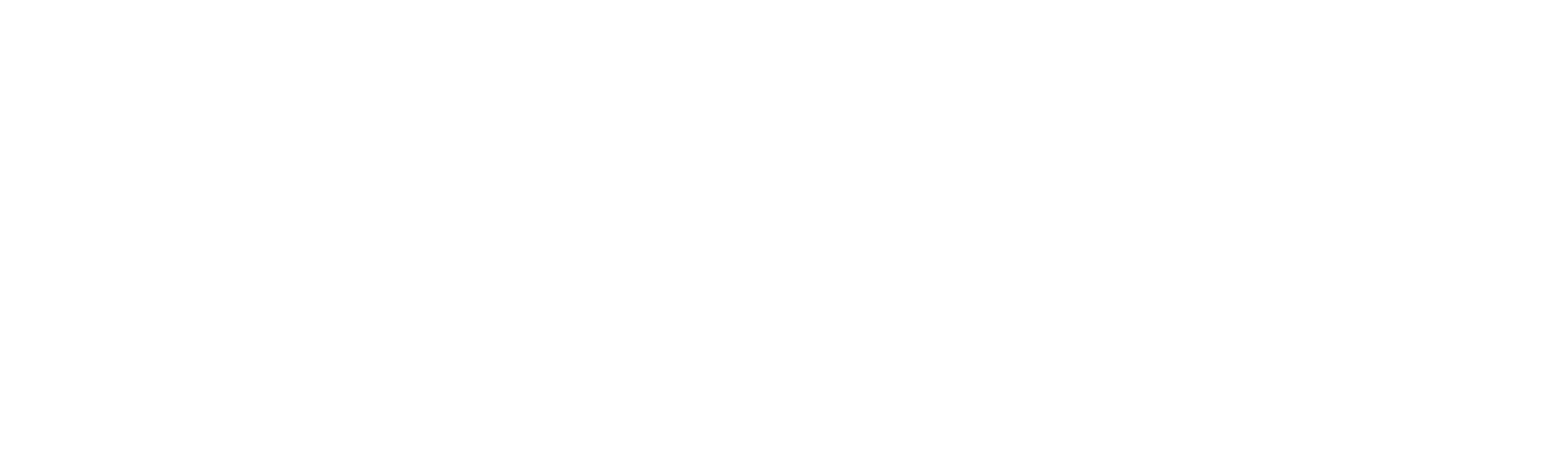 斯里兰卡：雅拉的花豹