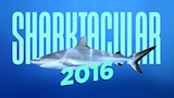 Shark Week Sharktacular 2016