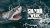 Shark Week Sharktacular 2016