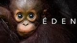 Éden