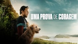 Uma Prova de Coragem
