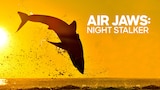 Air Jaws: Night Stalker