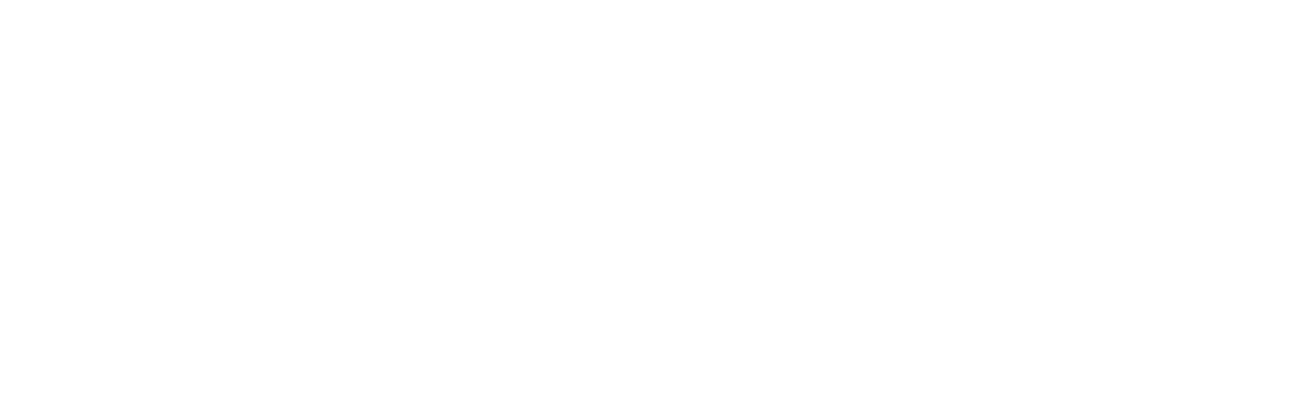 El Maestro del Dinero