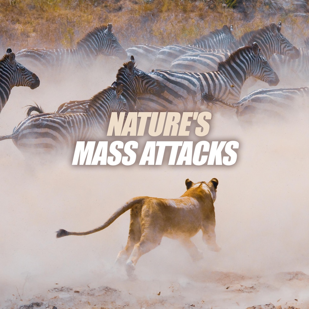 Nature's Mass Attacks