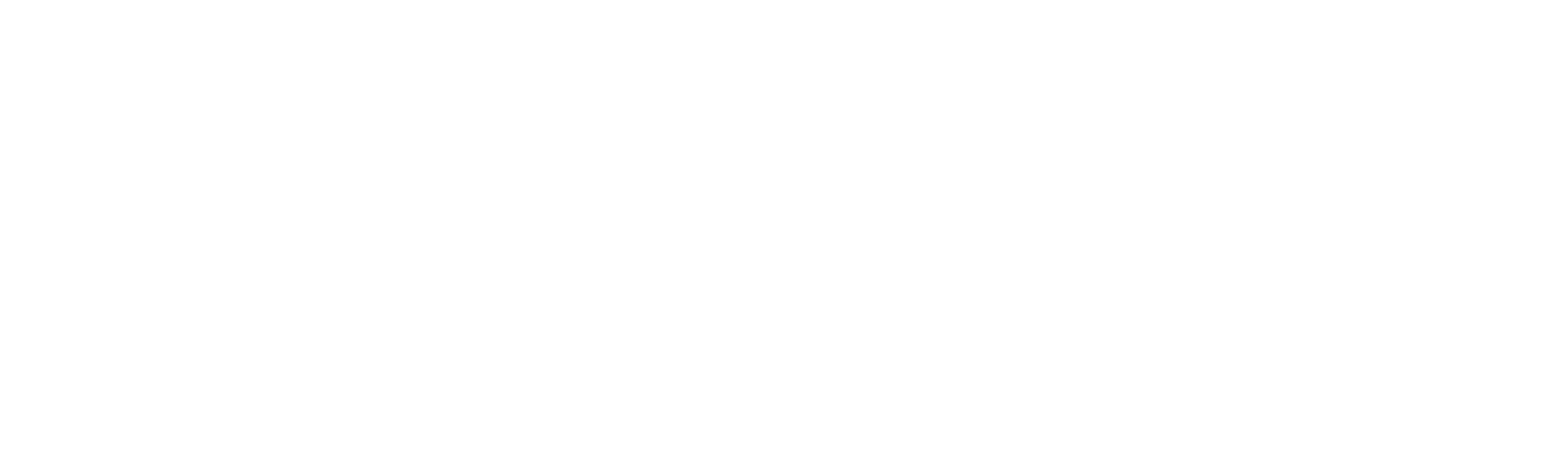 The Diary of Diana B