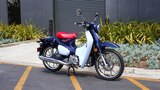 2019 Honda Super Cub