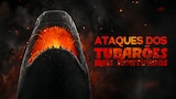 Ataques dos tubarões mais mortíferos