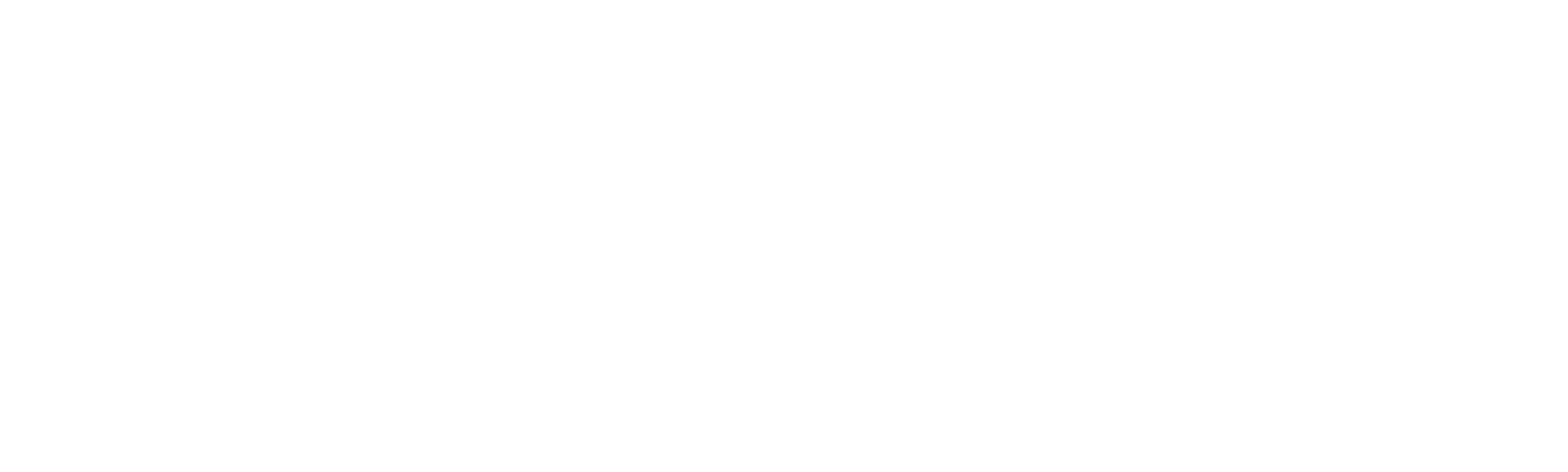 O Apanhador de Sonhos