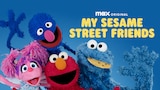 My Sesame Street Friends