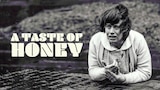 A Taste of Honey