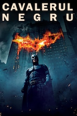 Cavalerul negru