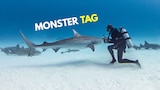 Monster Tag