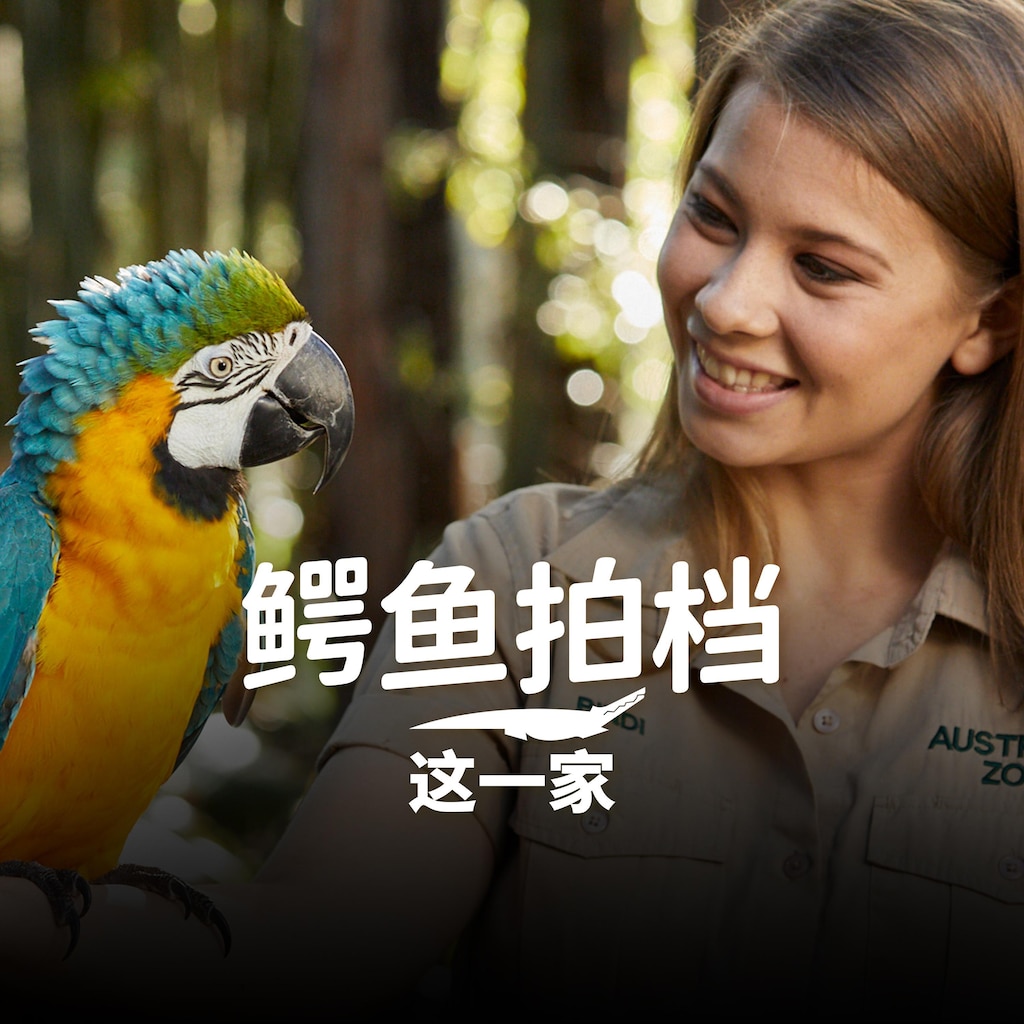 鳄鱼拍档这一家