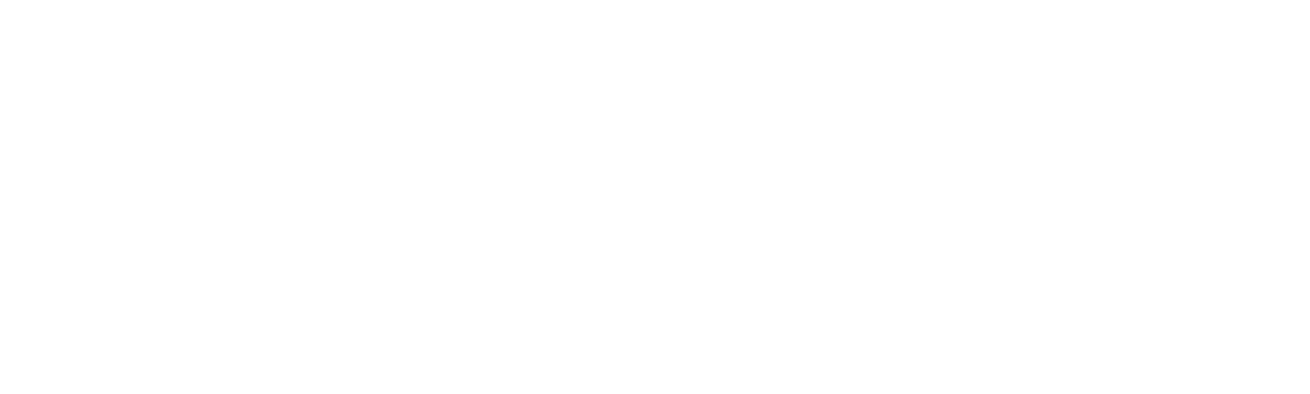 Watch Crikey! It's the Irwins | discovery+